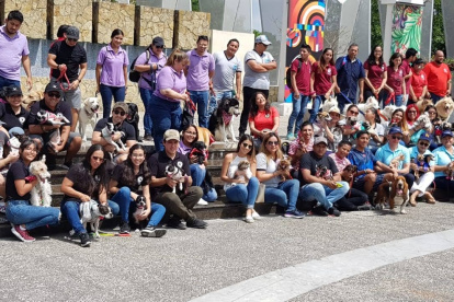 El proyecto Interclubes caninos tiene como uno de sus objetivos recolectar comida y ayudar a encontrar a las mascotas perdidas.