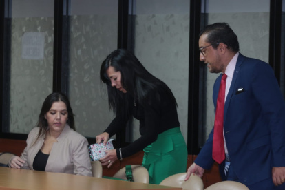 La exasambleísta María Alejandra Vicuña fue condenada a un año de prisión correccional