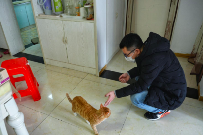 PEKÍN. Una persona trata de alimentar a una mascota cuyos dueños no llegan a casa desde hace varias semanas.
