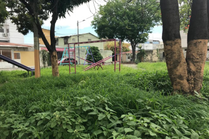 La maleza cubre gran parte de varios parques de Guayacanes.