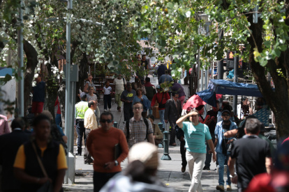 La capital fue reconocida como una de las ciudades más arboladas del mundo