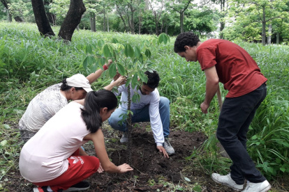 Los habitantes de Samanes 1 hacen orificios para realizar la siembra de árboles
