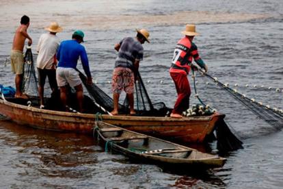 La normativa para el sector se analiza en la Asamblea Nacional.