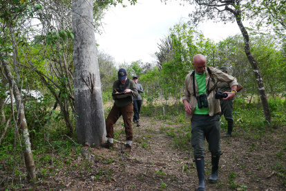 Guardabosques, en trabajos de exploración en el área del bosque protector Cerro Blanco.