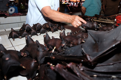 This photo taken on February 8, 2020 shows a vendor selling bats at the Tomohon Extreme Meat market on Sulawesi island, as business is booming and curious tourists keep arriving to check out exotic fare that enrages animal rights activists. - Bats, rats and snakes are still being sold at an Indonesian market known for its "extreme" wildlife offerings, despite calls to take them off the menu over fears of COVID-19 coronavirus link. (Photo by Ronny Adolof Buol / AFP)