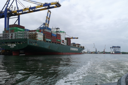 El producto ecuatoriano compite con dificultad en el mercado internacional, debido a su alto costo.