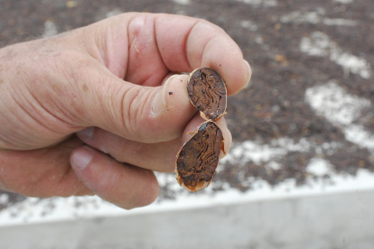 El precio no para de subir.