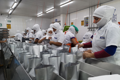 La industria manufacturera confirma un mal año, con menos ventas y empleo.