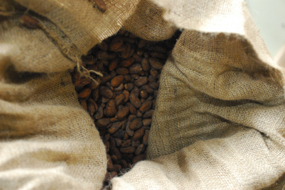 El cacao goza confianza en Ecuador.