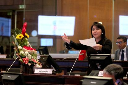 Ponente. La presidenta de la Comisión de Justicia, Ximena Peña, presentó las reformas el día de su cumpleaños, con su curul adornada de flores.