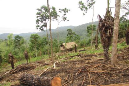 Hecho. La parte afectada permanece como se muestra en la gráfica.