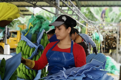 Preocupan las ventas a mercados tradicionales.