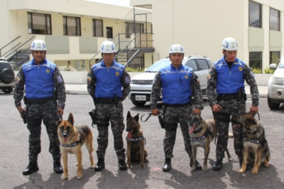 Trabajo. Los perros colaboraron en la institución durante ocho años.