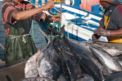 Oferta. Las ventas de atún sumaron $1.108 millones, un 5 % menos.