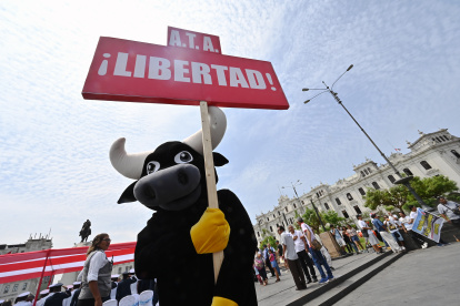 (FILES) In this file picture taken on February 21, 2020, more than 10,000 supporters of bullfights and cockfights, considered locally as ancient arts, rally, parade and dance in downtown Lima on February 21, 2020, days before the legal fate of the events will be decided by the Constitutional Court following an appeal filed by animal rights groups to ban them. - On February 25, the Constitutional Court is expected to rule on a demand to declare both bull and cock fighting unconstitutional under the Animal Protection and Welfare Act. Animal rights activists have brought a case to the Constitutional Court asking it to declare unconstitutional a law that exempts bull and cock fighting from and animal protection laws. (Photo by Cris BOURONCLE / AFP)