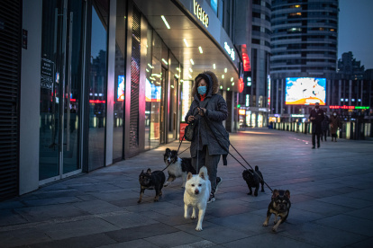 PEKÍN. Una mujer saca a pasear a sus perros. La OMS extiende una aclaración acerca de la propagación del virus relacionado con las mascotas.