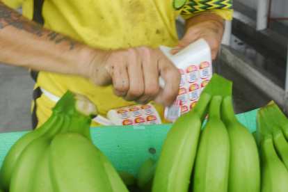 Mucha fruta podría quedarse en el país.