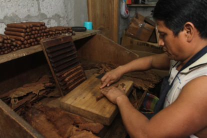 Elaborar. Una de las formas de elaborar el cigarro en el campo es ‘de piernas’.