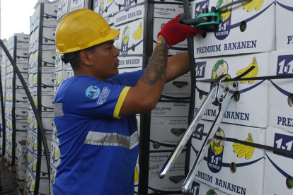 El banano es vital para la cara portuaria.