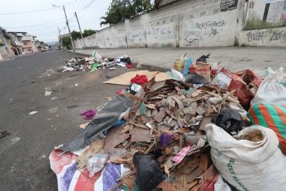 Hecho. En diferentes sectores de la ciudad se observa basura regada. Los desechos se juntan con charcos formados por la lluvia.