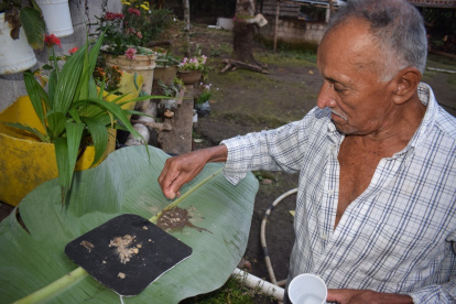 1. Mezcla. Para realizar el producto no se necesita de mucha ciencia, solo un poco de aguardiente.