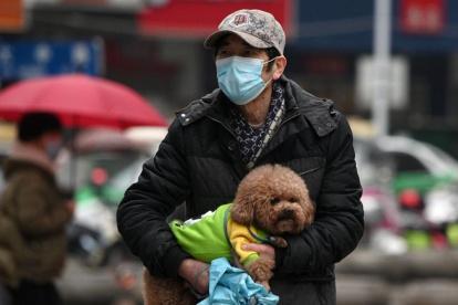 Aún no se ha confirmado que los animales puedan ser un foco de contagio.