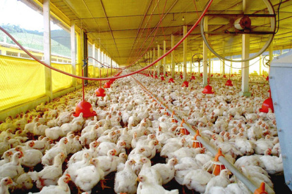 La industria reclama mejores procedimientos.