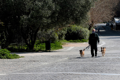 Las mascotas son en España como un salvoconducto, mientras en otros países aún pueden circular en horarios restringidos.