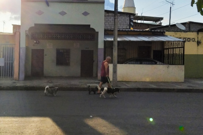 Algunas personas pasean a sus mascotas en horario prohibido.