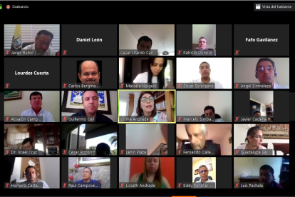 El sábado se cumplió la sesión virtual del pleno de la Asamblea Nacional