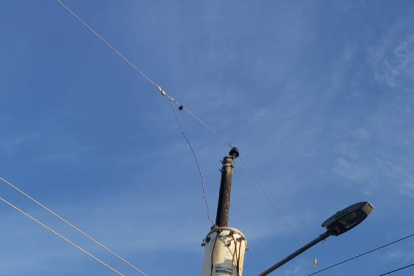 Daño. En algunas etapas de Mucho Lote 1, la luz se fue a partir de las 14:30