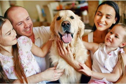 Iniciativas. Aumente las muestras de cariño y juegos donde participen todos.