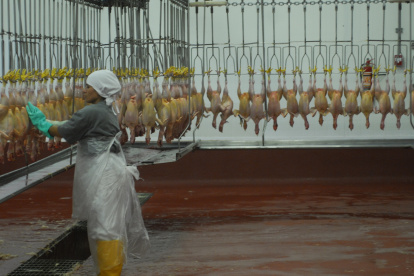 Algunas empresas del sector trabajan a medias por muchas razones derivadas de la crisis.