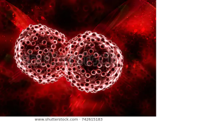 Las células tumorales detienen su crecimiento con el nuevo fármaco.