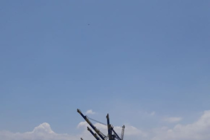 Los prácticos temen contagiarse del coronavirus.