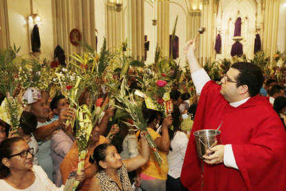 Palmas. Este domingo inicia la Semana Santa, celébrela con un ramo en su casa