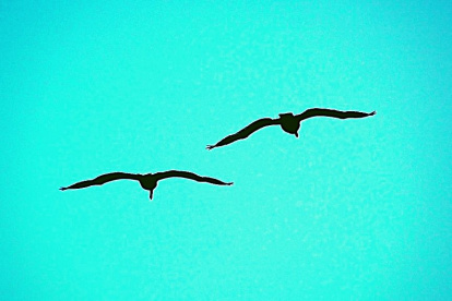 Diario de una madre en cuarentena, día 24. Por Cecilia Tecchi.