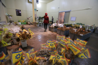 El sector florícola ha sido uno de los más golpeados por la crisis del coronavirus.