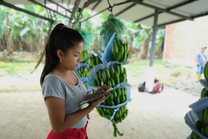 En los dos primeros meses de 2020 el banano despuntó.