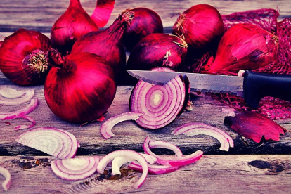 Diario de una madre en cuarentena. Por: Cecilia Tecchi