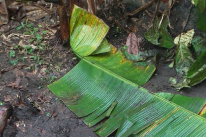 La fuerza pública está vigilando el sitio para evitar posibles daños a la salud de los habitantes.