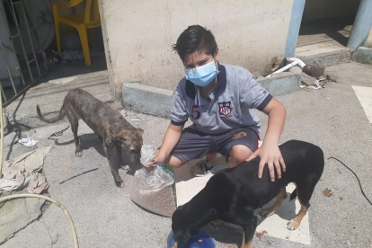 En el barrio, los vecinos se unan para ayudar a las mascotas.