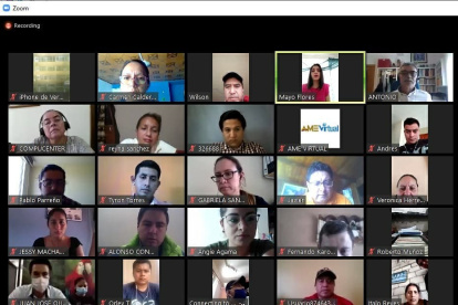 Los miembros de AME han tenido varias reuniones virtuales para discutir la situación.