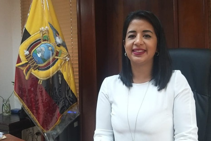 Icaza es Ingeniera de caminos, canales y puertos por la Universidad Politécnica de Cataluña. Ha laborado en proyectos de infraestructura en el Consejo de la Judicatura y Senagua.