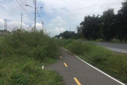 Entorno. Ese es el panorama actual que se percibe en vía a la costa.