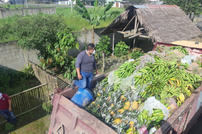 Abastecer. Los volquetes llegan desde Santa Elena hasta las comunidades tsáchilas a ver los productos del campo para repartir a sus hermanos