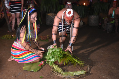 Saberes.- Los tsáchilas creen en el poder de las plantas para curar las dolencias.