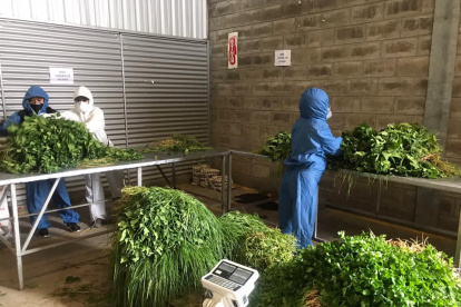 Mil pedidos diarios es el promedio que se solicita en la plataforma. Subió en 50 % desde marzo.