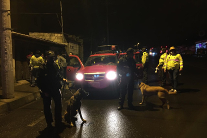 Canes de la Unidad de Adiestramiento dieron la alerta a los miembros de la Policía Antinarcóticos