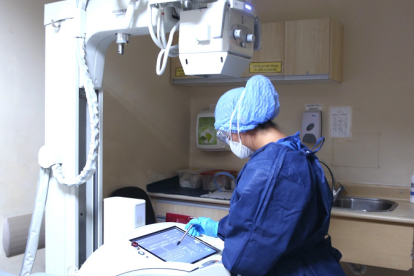 Se han tomado más de 84.000 muestras PCR y rápidas a nivel nacional.